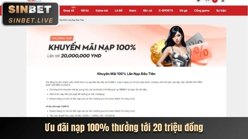 Hướng dẫn tận dụng khuyến mãi tại nato888 win